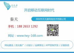 龍華網站建設與推廣服務 專業公司助力企業發展